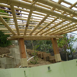 PROJECT 4